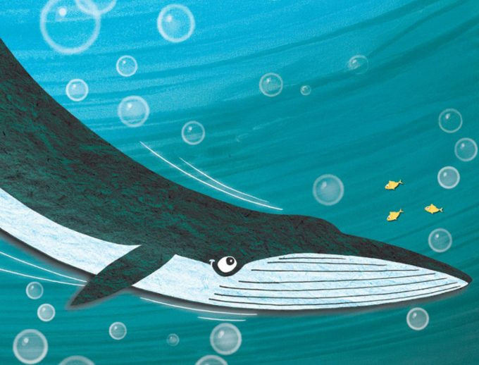 our-auckland-tales-of-tīkapa-moana_sqkixvcd