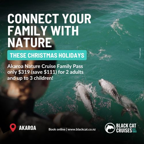 Connect With Your Family These Christmas Holiday