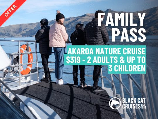 Family Fun on the Akaroa Nature Cruise – Save $111!